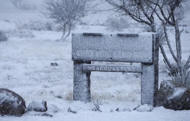 Community Science on the Sonoita Plain