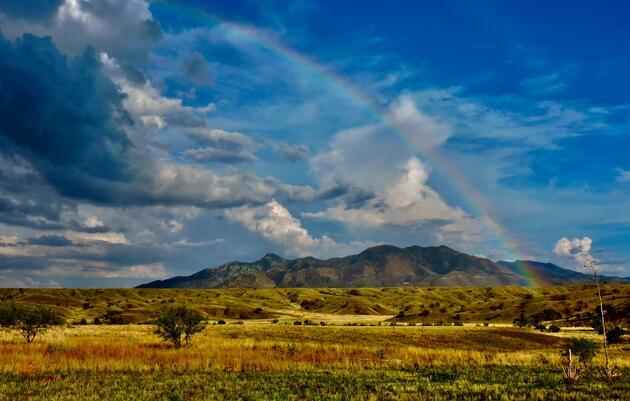 Introducing the Appleton-Whittell Research Ranch Fellow Webinar Series