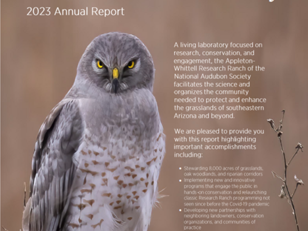 Annual Reports