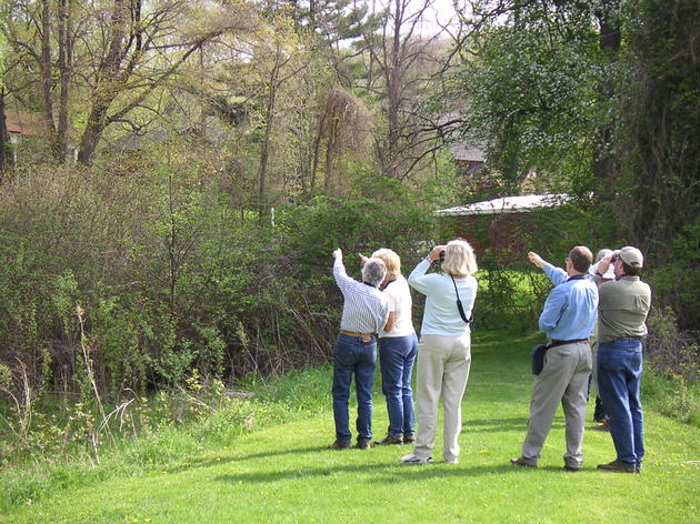 Citizen Science