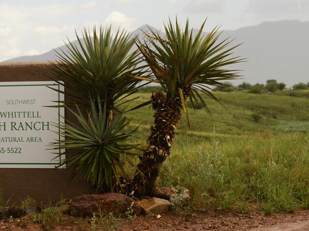 Visiting the Research Ranch