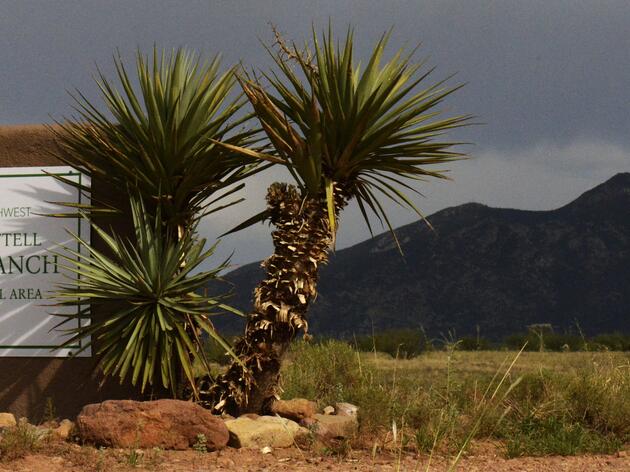 Appleton-Whittell Research Ranch (AWRR)