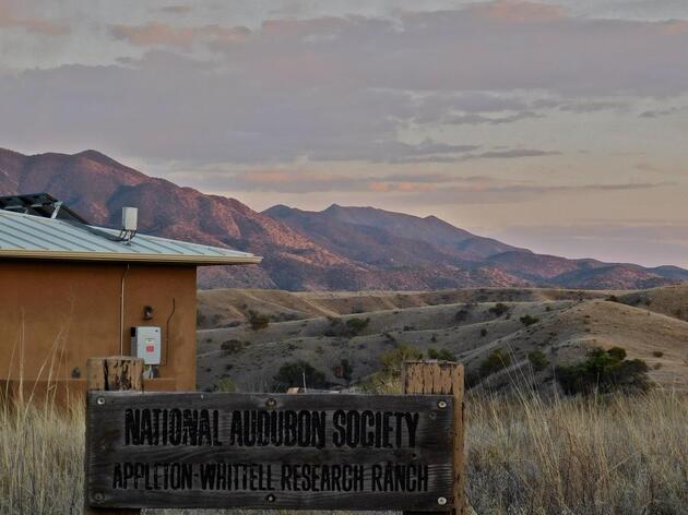 Support the Work of the Appleton-Whittell Research Ranch of the National Audubon Society!