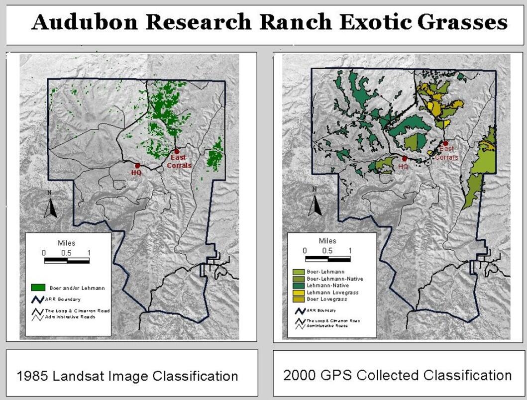 A map of the Research Ranch details the spread of invasive grasses between 1985 and 2000. In this time, the covered acreage more than doubles.