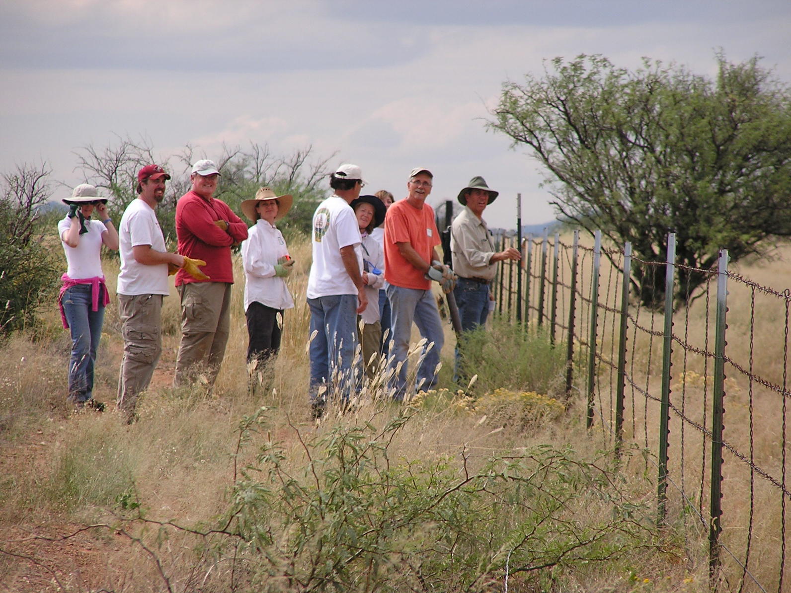 Volunteers stand alongisde a wire fence within a vast expanse of grass and mesquite.