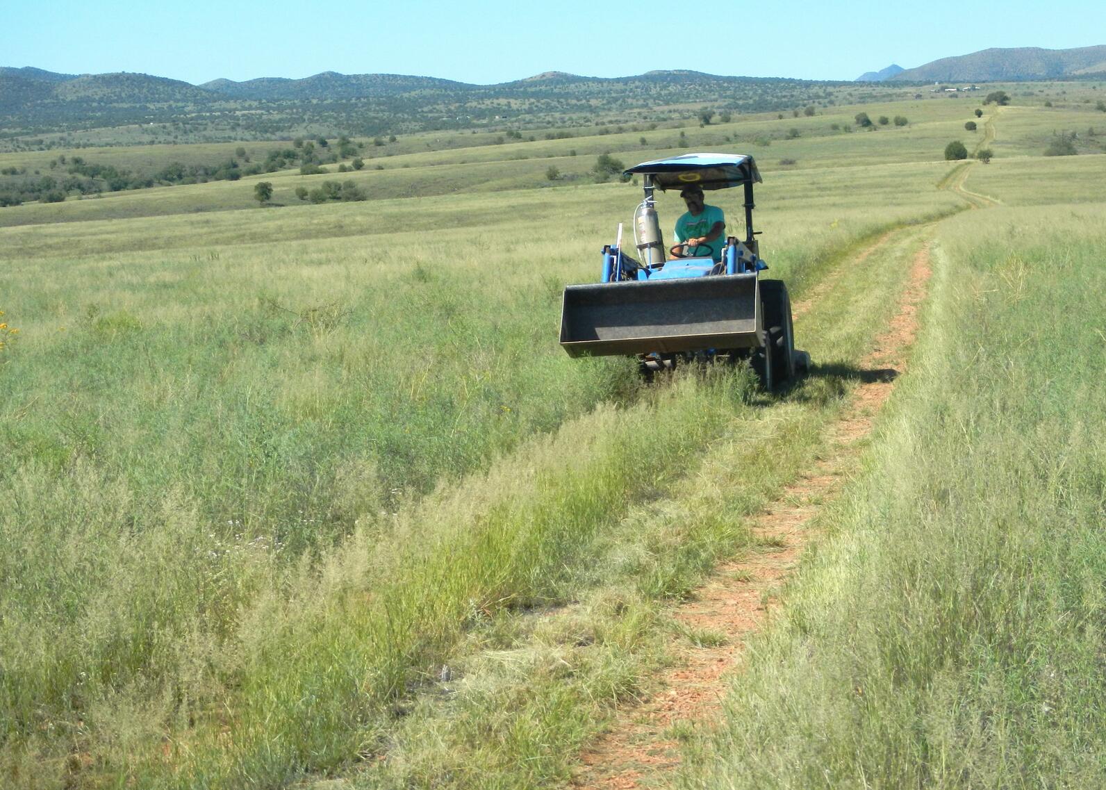 A small blue tractor works its way down a long dirt road surrounded by a seemingly endless sea of green grass.