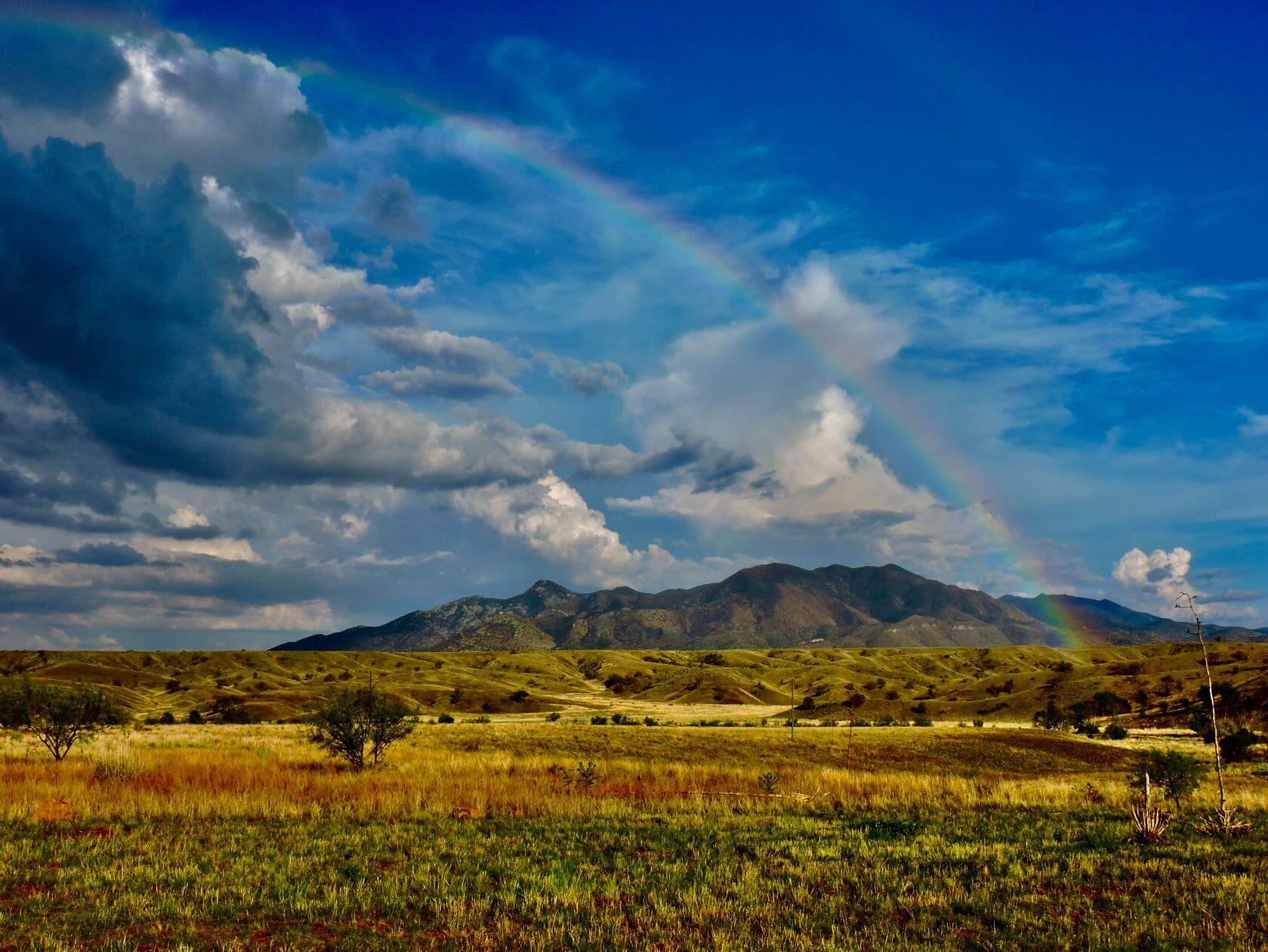 A rainbow cuts through partly cloudy skies in front of the Huachuca Mountains on the Appleton-Whittell Research Ranch, greening grass standing as evidence of the storms that have recently passed.