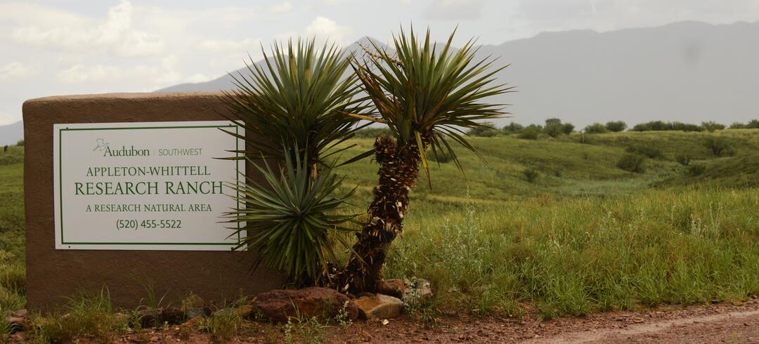 The front sign of the Appleton-Whittell Research Ranch against a backdrop of green grass and the Huachuca Mountains.