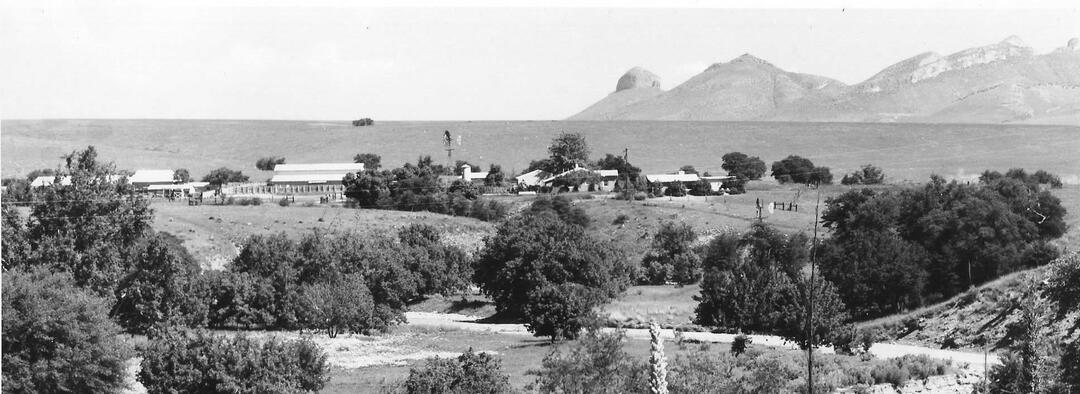 A black-and-white photo of the Elgin Hereford Ranch surrounded by grasslands and oaks against the backdrop of the Mustang Mountains.